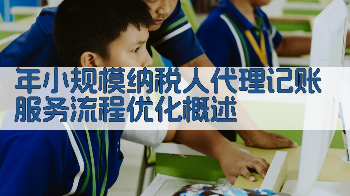 年小规模纳税人代理记账服务流程优化概述 图1