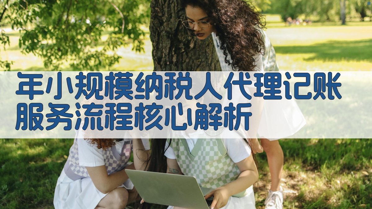 年小规模纳税人代理记账服务流程核心解析 图2