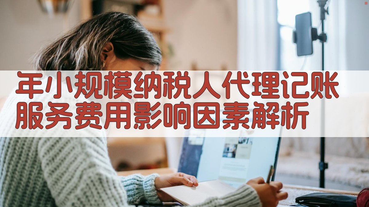 年小规模纳税人代理记账服务费用影响因素解析 图2
