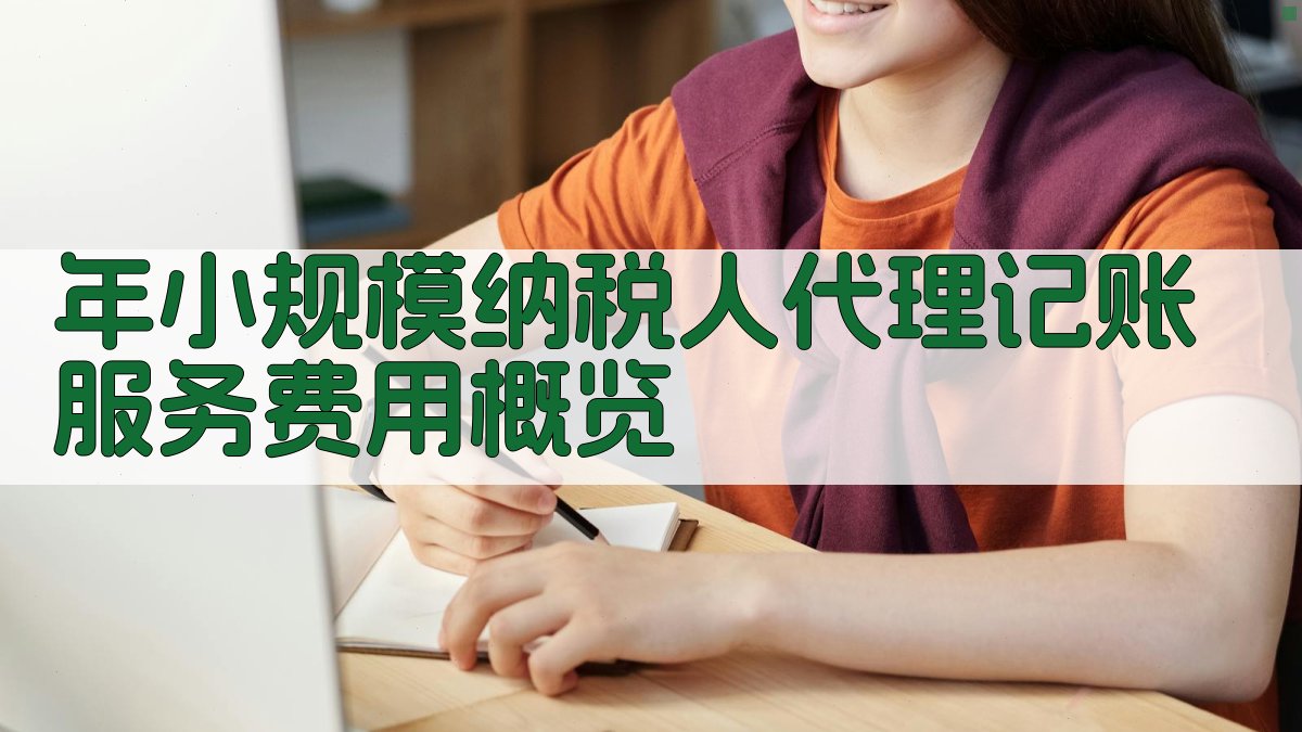 年小规模纳税人代理记账服务费用概览 图1