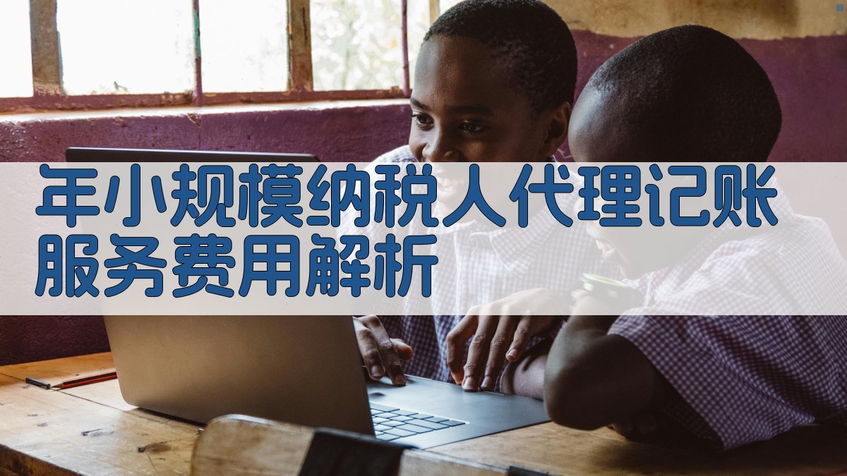 年小规模纳税人代理记账服务费用解析 图2