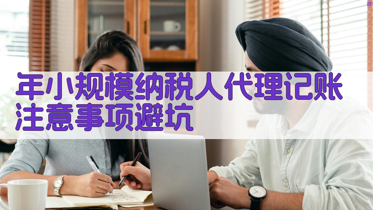 年小规模纳税人代理记账注意事项/避坑 图3