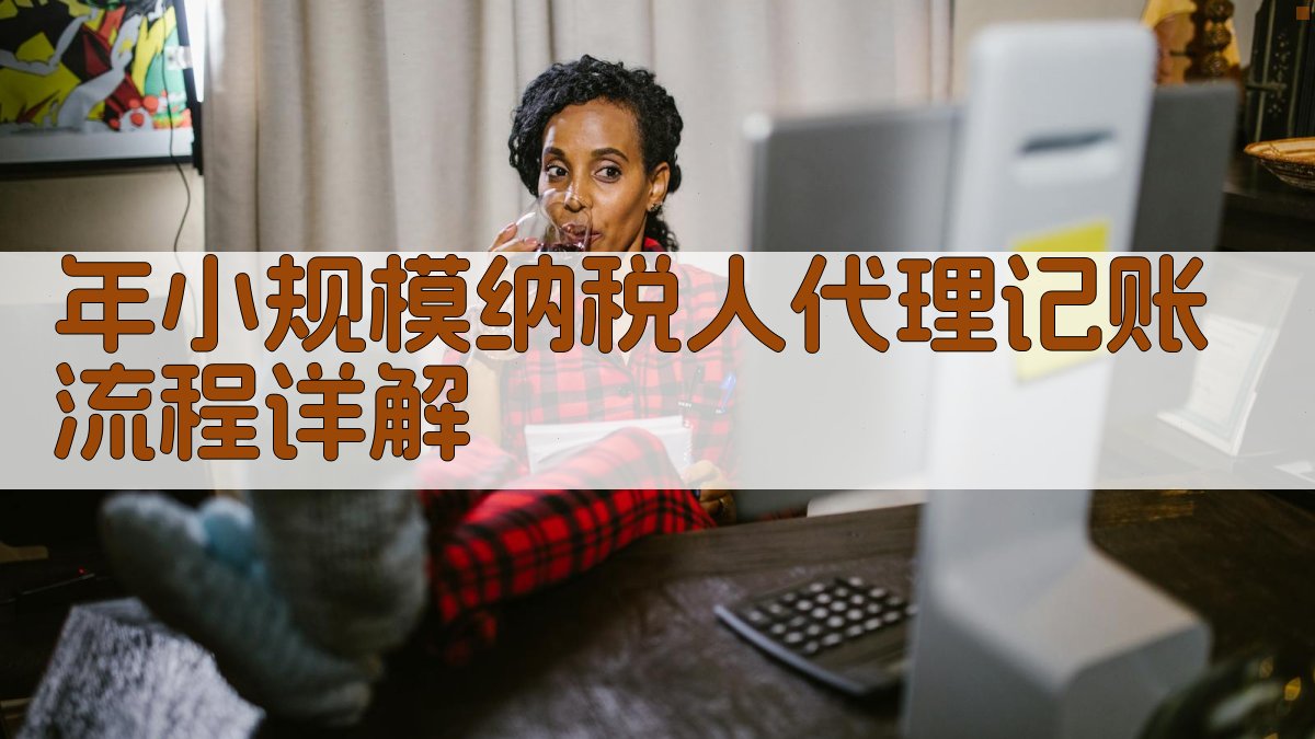 年小规模纳税人代理记账流程详解 图1