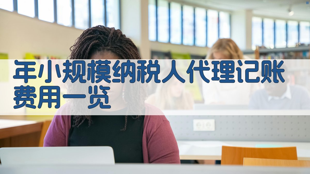 年小规模纳税人代理记账费用一览 图2