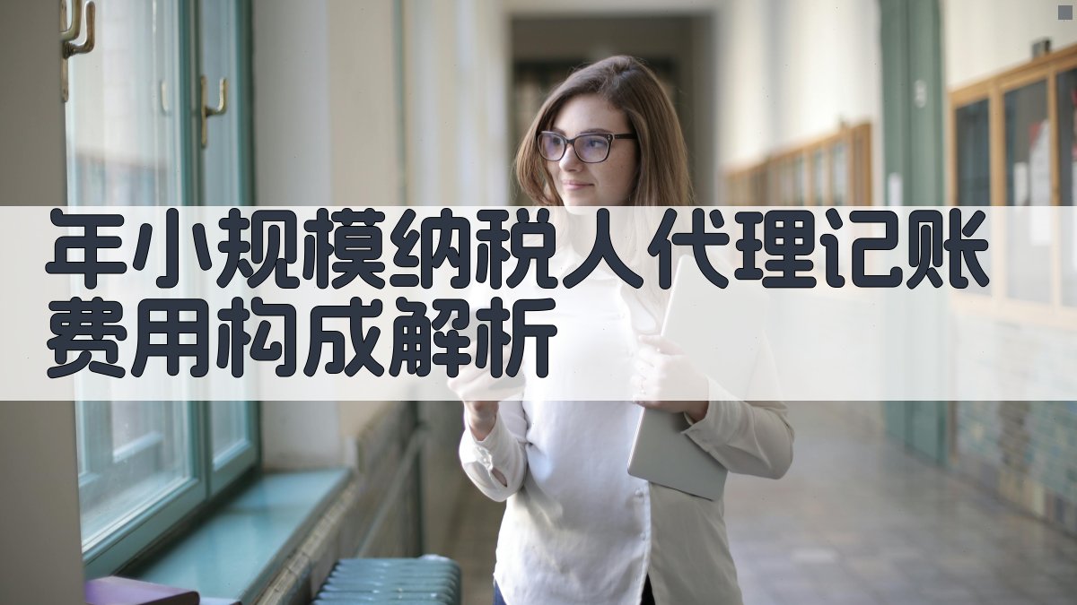 年小规模纳税人代理记账费用构成解析 图1