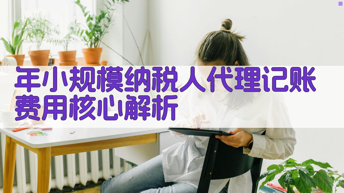 年小规模纳税人代理记账费用核心解析 图2