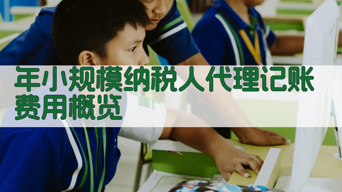 年小规模纳税人代理记账费用概览 图1