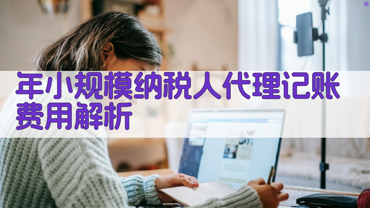 年小规模纳税人代理记账费用解析 图2