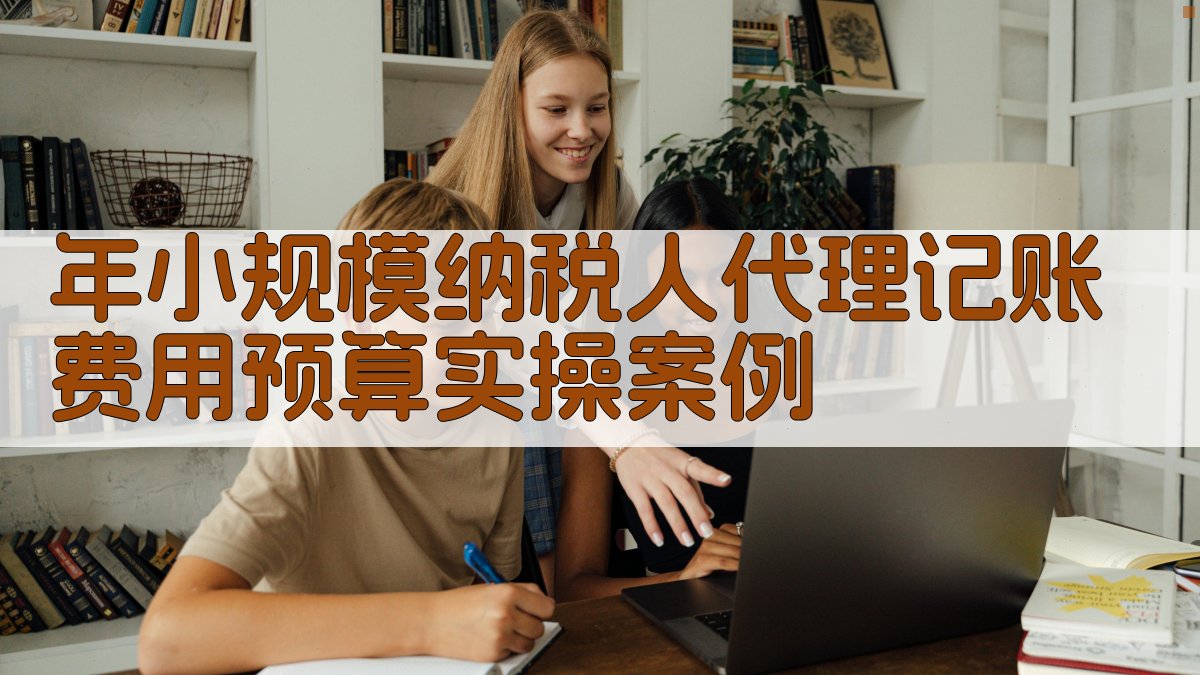 年小规模纳税人代理记账费用预算实操案例 图5