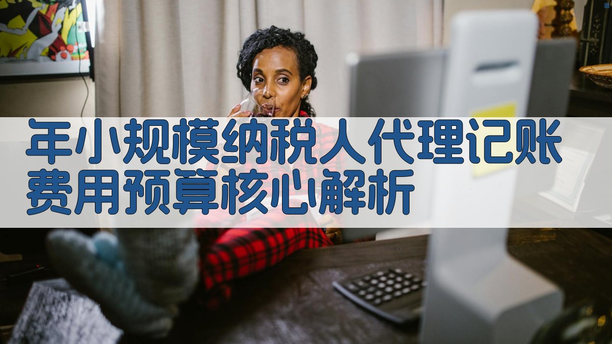年小规模纳税人代理记账费用预算核心解析 图2