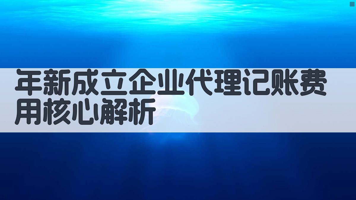 年新成立企业代理记账费用核心解析 图2