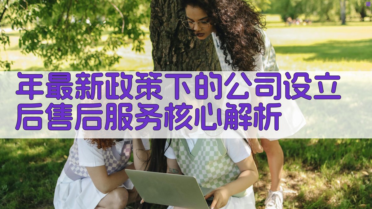 年最新政策下的公司设立后售后服务核心解析 图1