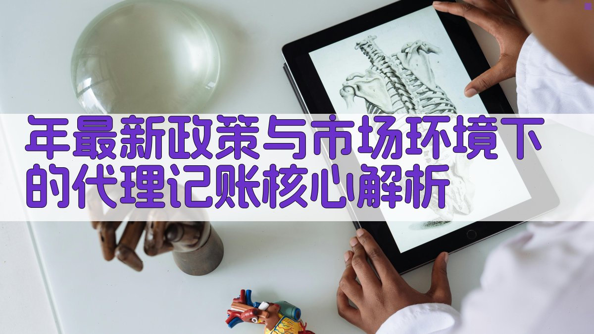 年最新政策与市场环境下的代理记账核心解析 图1