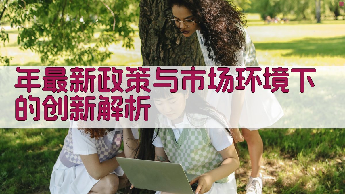年最新政策与市场环境下的创新解析 图2