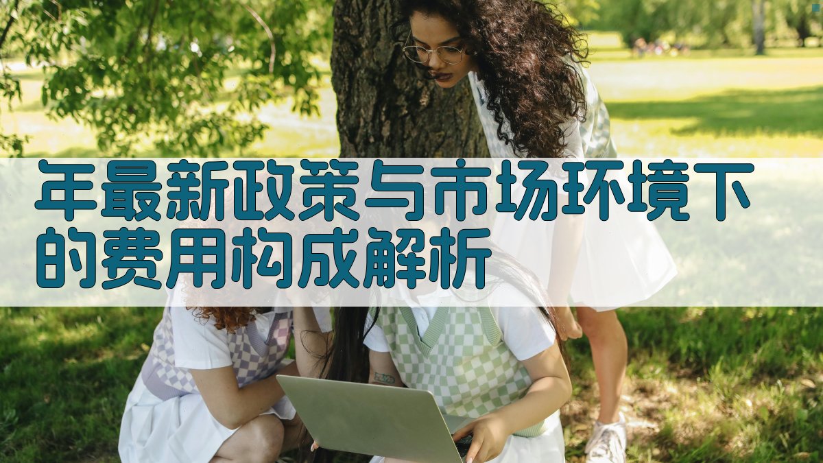 年最新政策与市场环境下的费用构成解析 图1