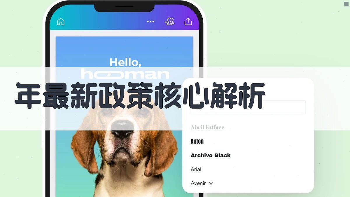 年最新政策核心解析 图2