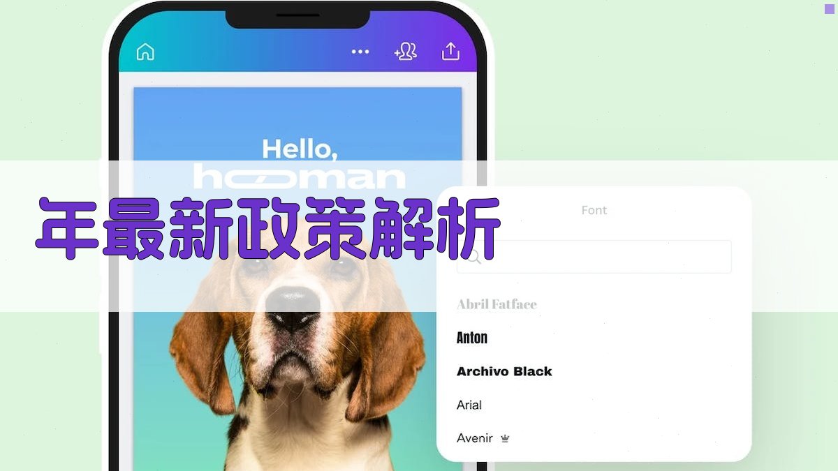 年最新政策解析 图2