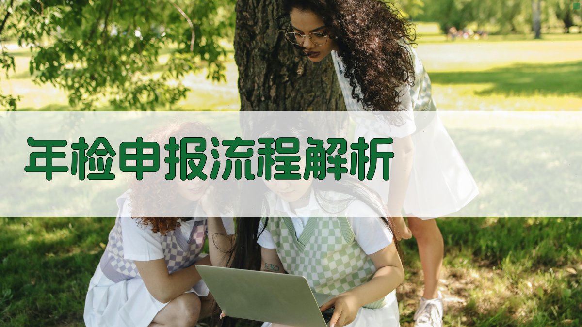 年检申报流程解析 图1