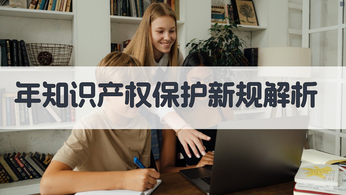 年知识产权保护新规解析 图2