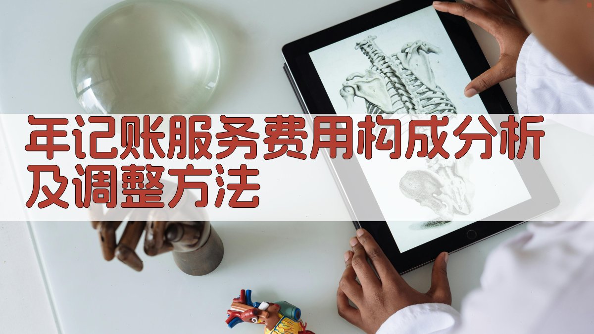 年记账服务费用构成分析及调整方法 图3