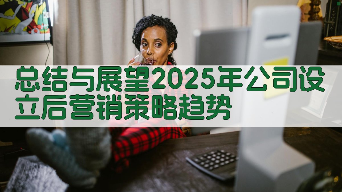 (总结与展望：2025年公司设立后营销策略趋势) 图1