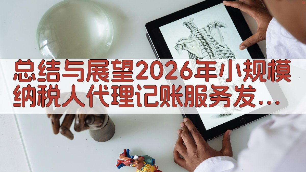 总结与展望：2026年小规模纳税人代理记账服务发展前景 图1