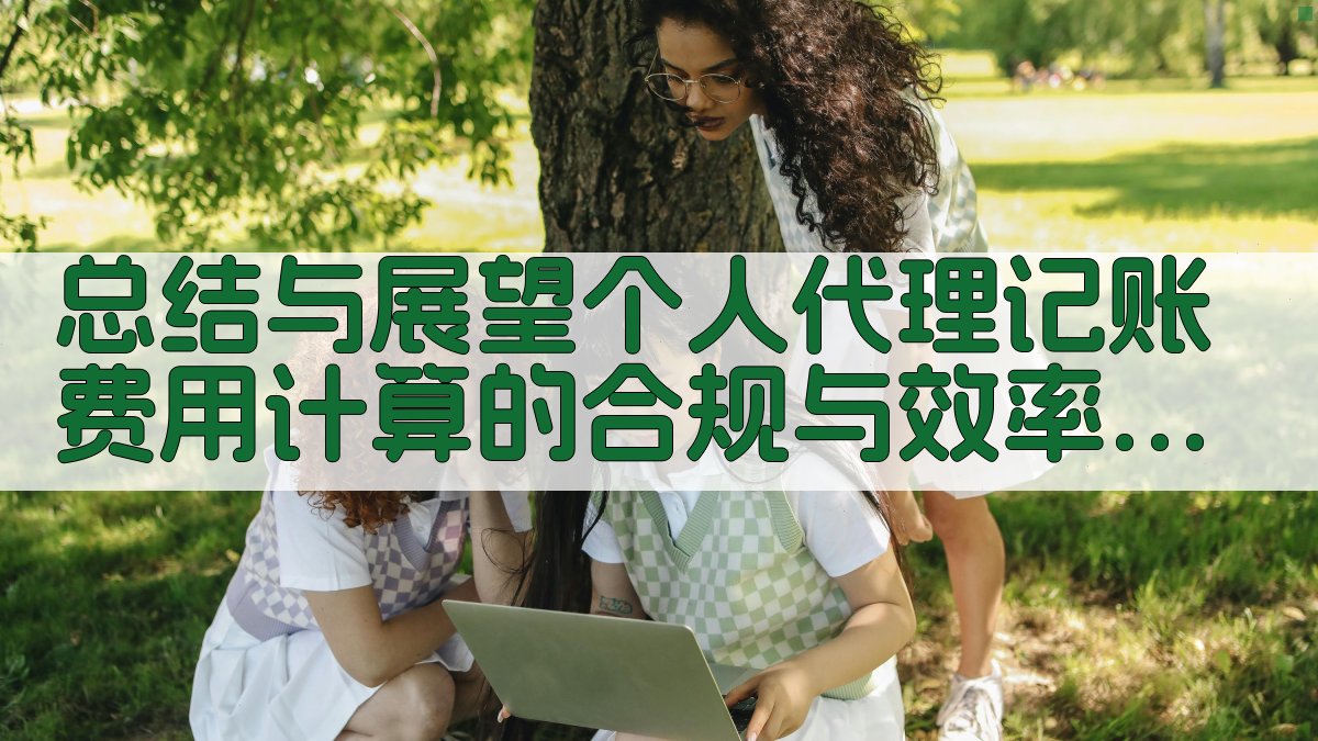 总结与展望：个人代理记账费用计算的合规与效率提升。 图2