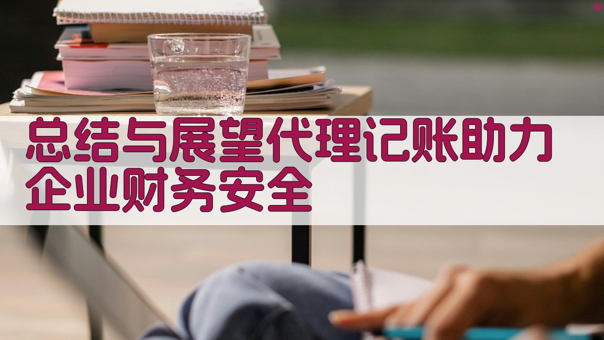 总结与展望：代理记账助力企业财务安全 图3