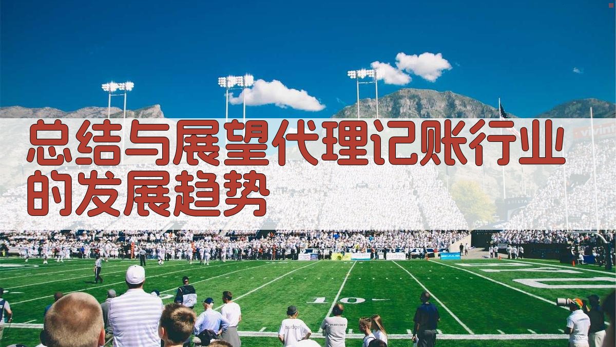 总结与展望：代理记账行业的发展趋势 图5