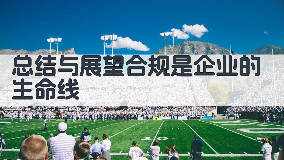 总结与展望：合规是企业的生命线 图3