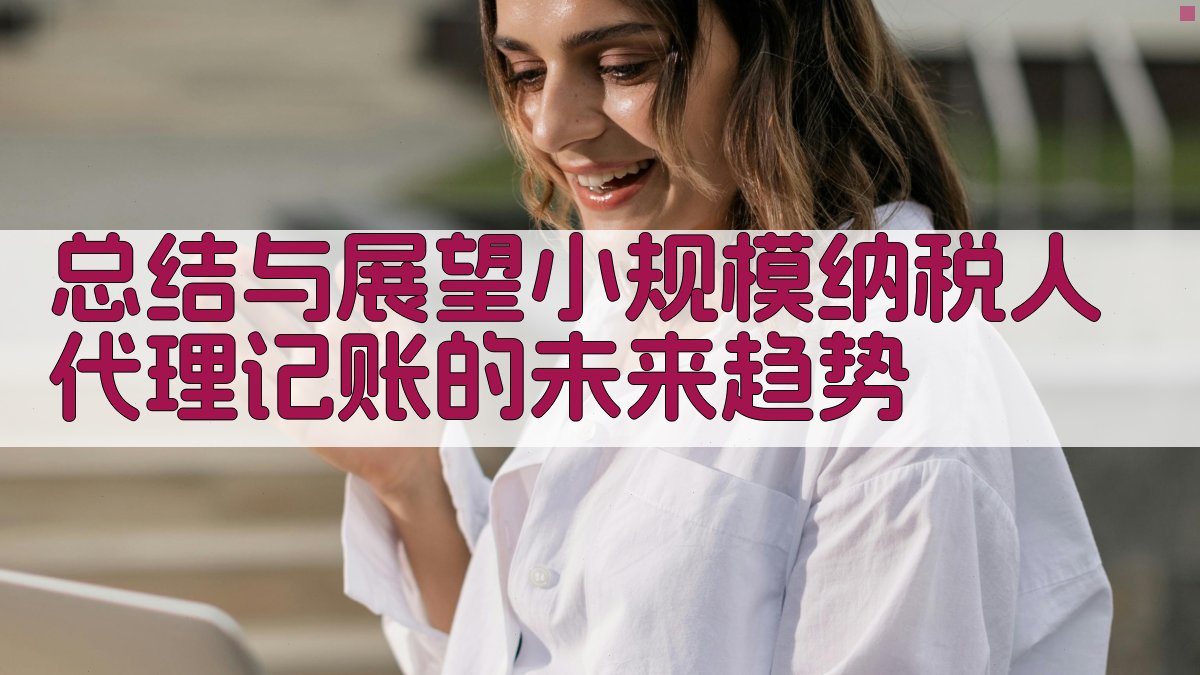 总结与展望：小规模纳税人代理记账的未来趋势 图4