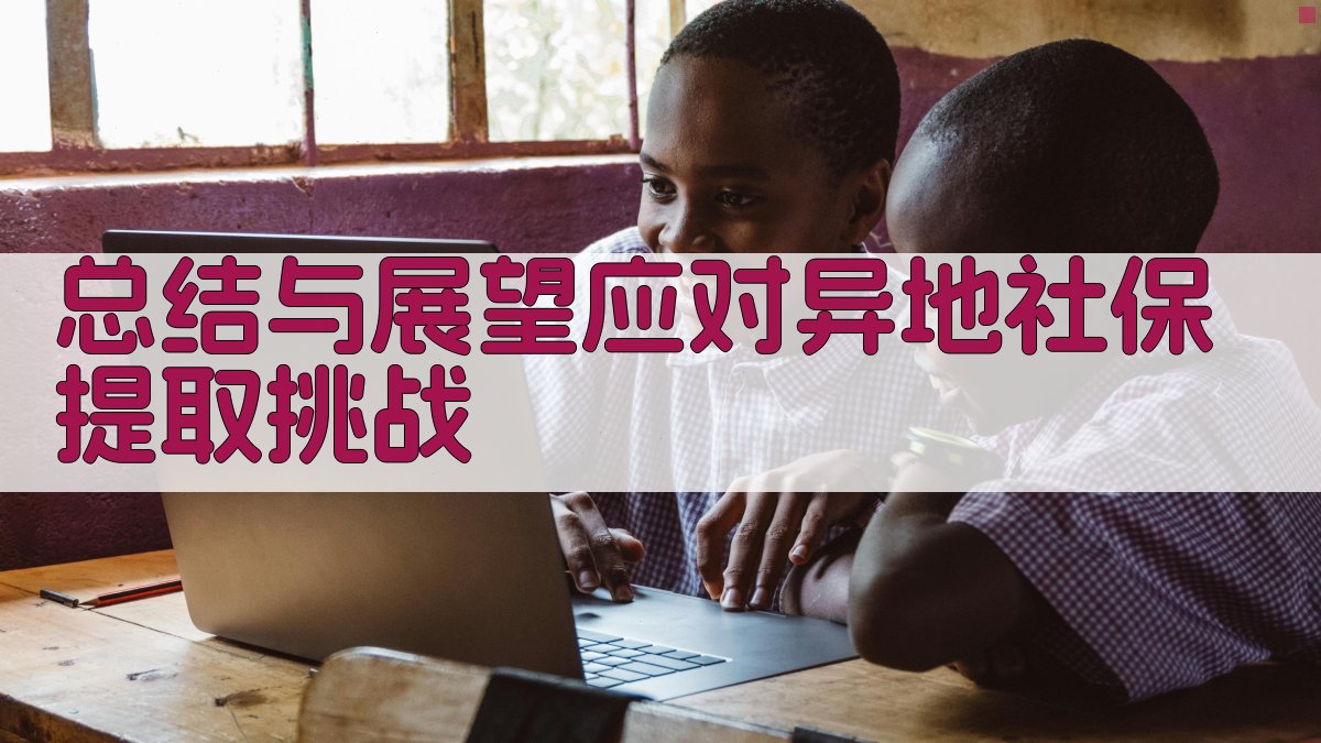 总结与展望：应对异地社保提取挑战 图1