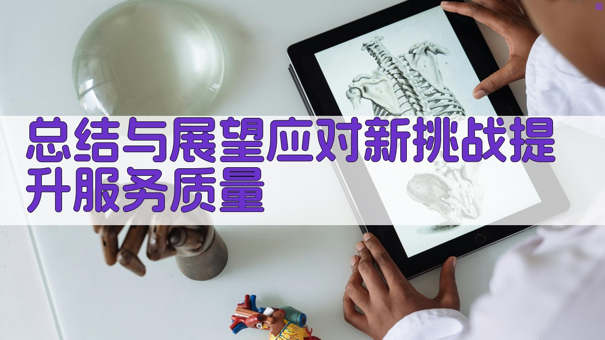总结与展望：应对新挑战，提升服务质量 图5