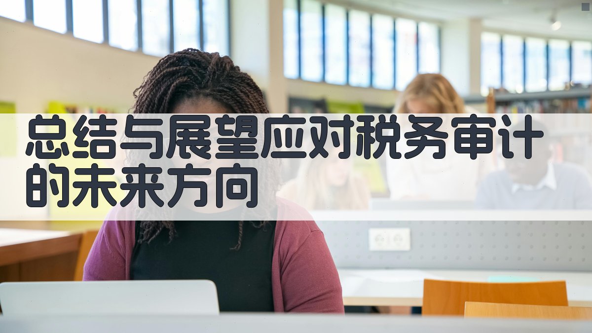 总结与展望：应对税务审计的未来方向 图2