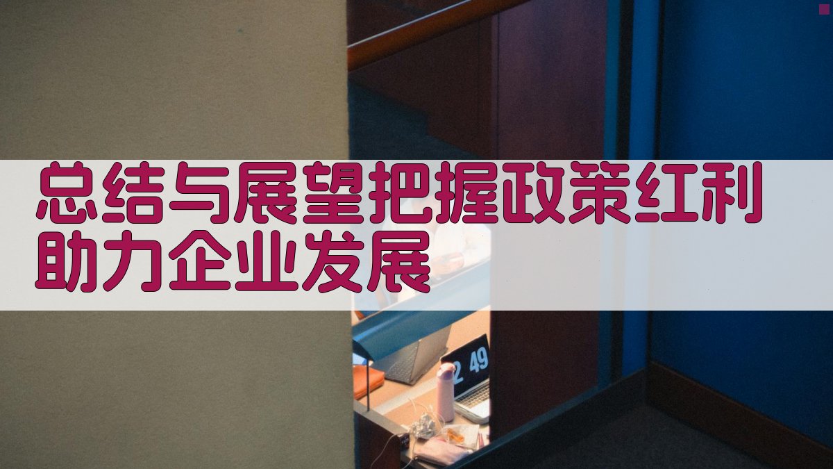 总结与展望：把握政策红利，助力企业发展 图4