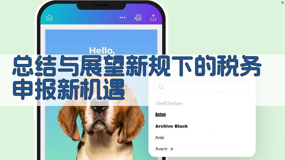 总结与展望：新规下的税务申报新机遇 图5
