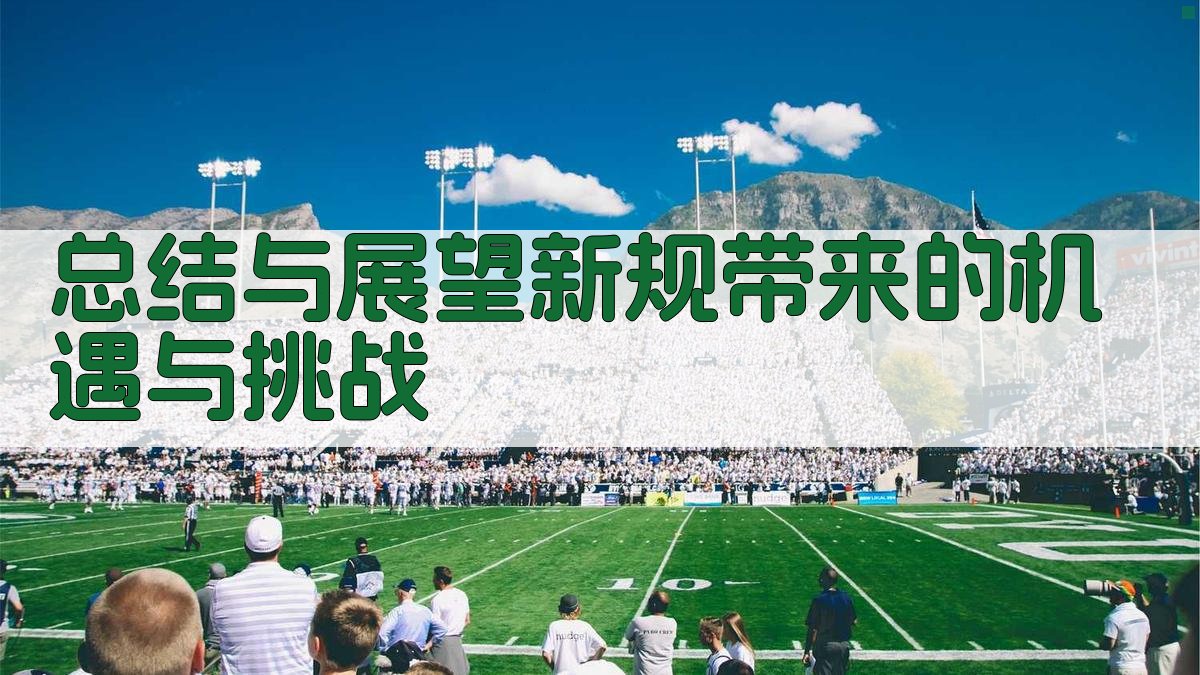 总结与展望：新规带来的机遇与挑战 图4