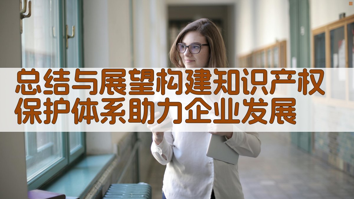 总结与展望：构建知识产权保护体系，助力企业发展 图1