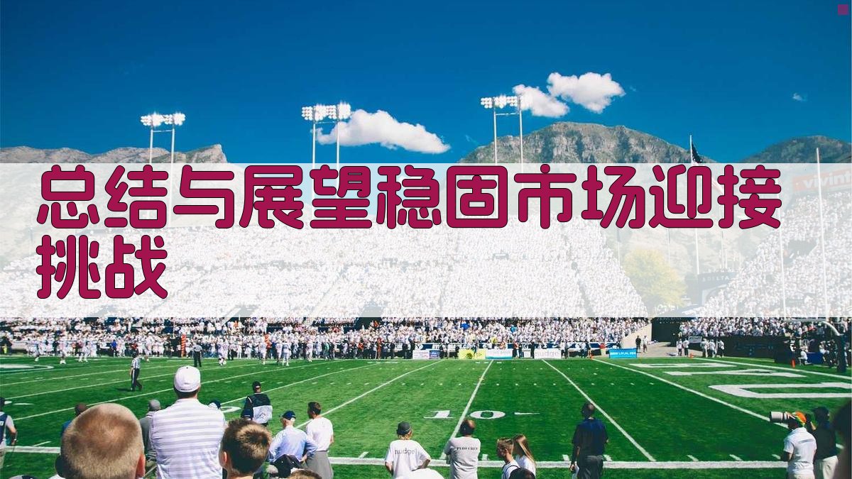 总结与展望：稳固市场，迎接挑战 图3