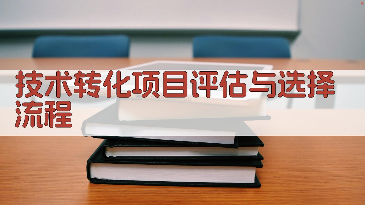 技术转化项目评估与选择流程 图3