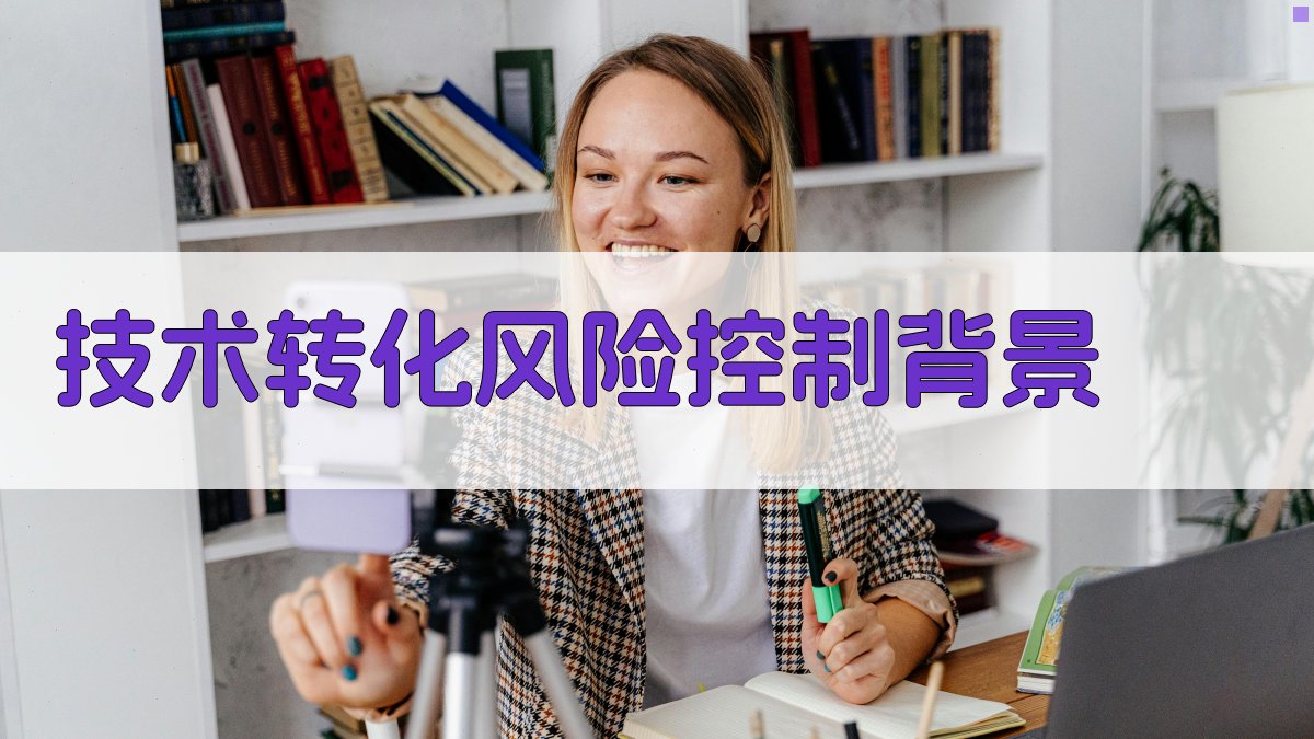 技术转化风险控制背景 图1