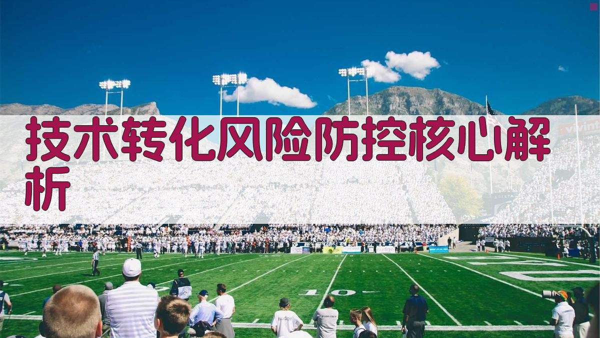 技术转化风险防控核心解析 图1