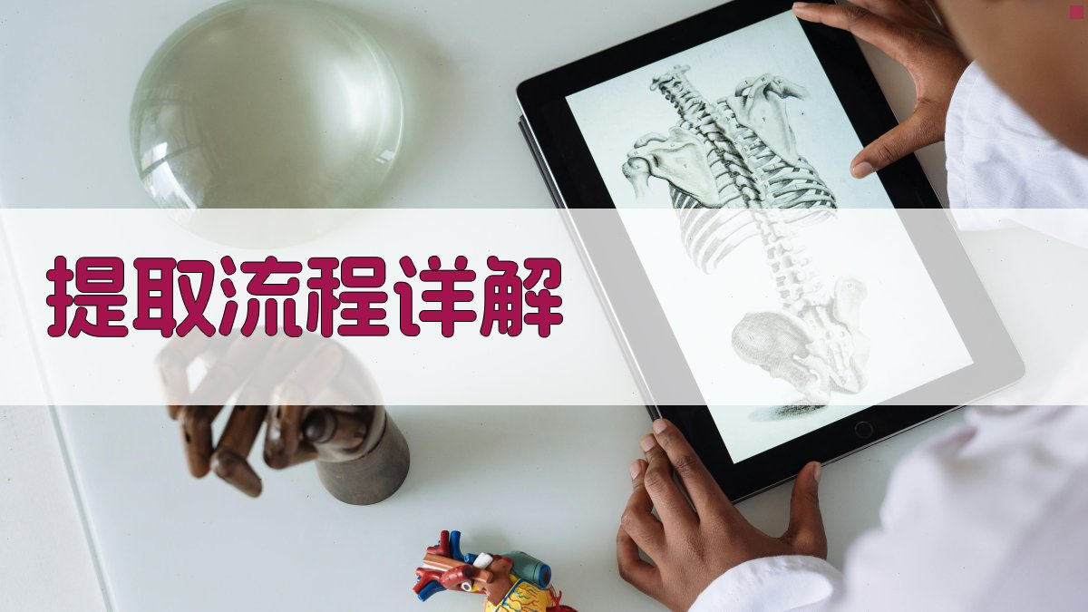 提取流程详解 图2