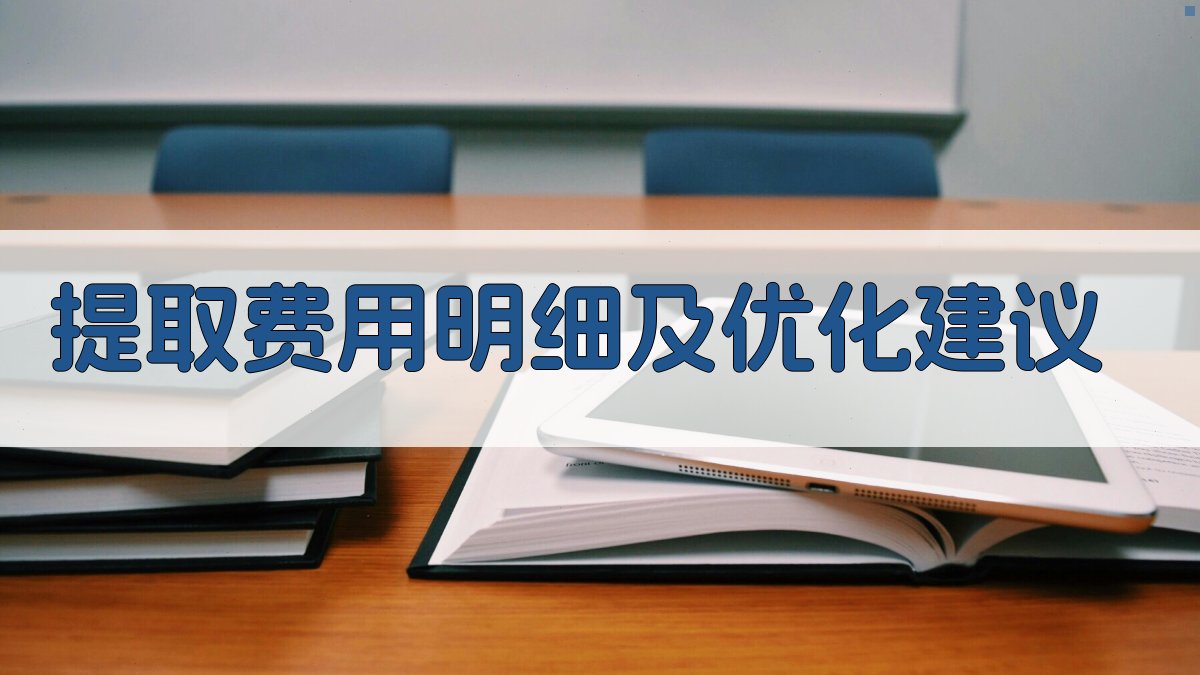 提取费用明细及优化建议 图1