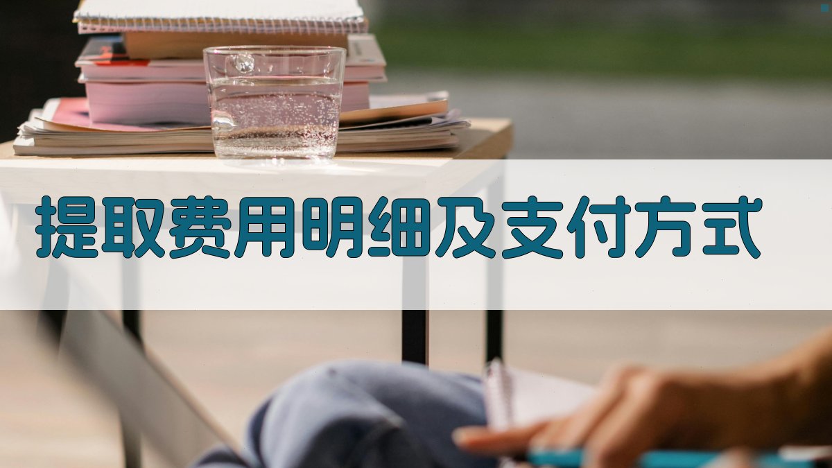 提取费用明细及支付方式 图1