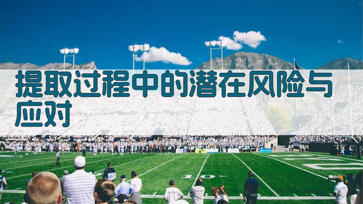 提取过程中的潜在风险与应对 图1