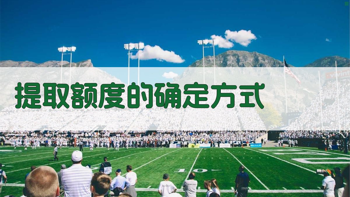 提取额度的确定方式 图2