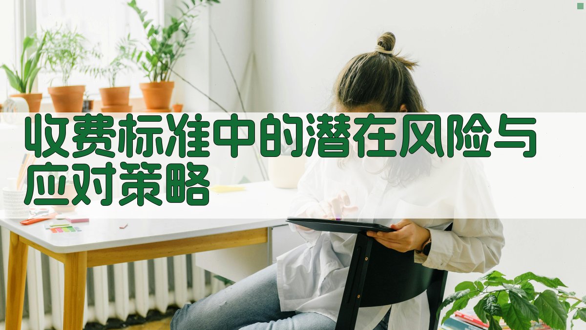收费标准中的潜在风险与应对策略 图3