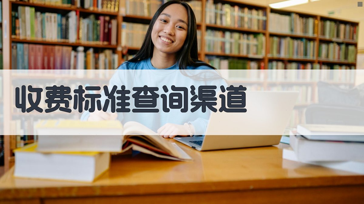 收费标准查询渠道 图1