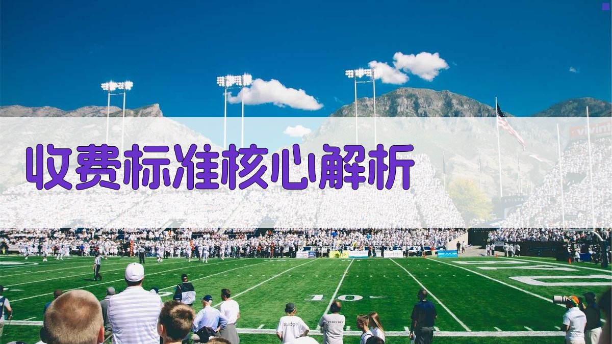 收费标准核心解析 图1